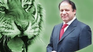 Pmln Songs Mp3